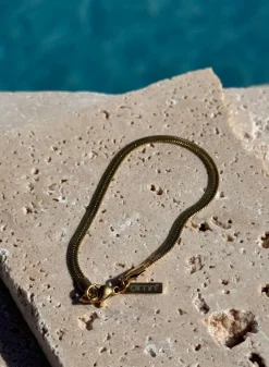 Waterproof Bracelet>AIM’N Online