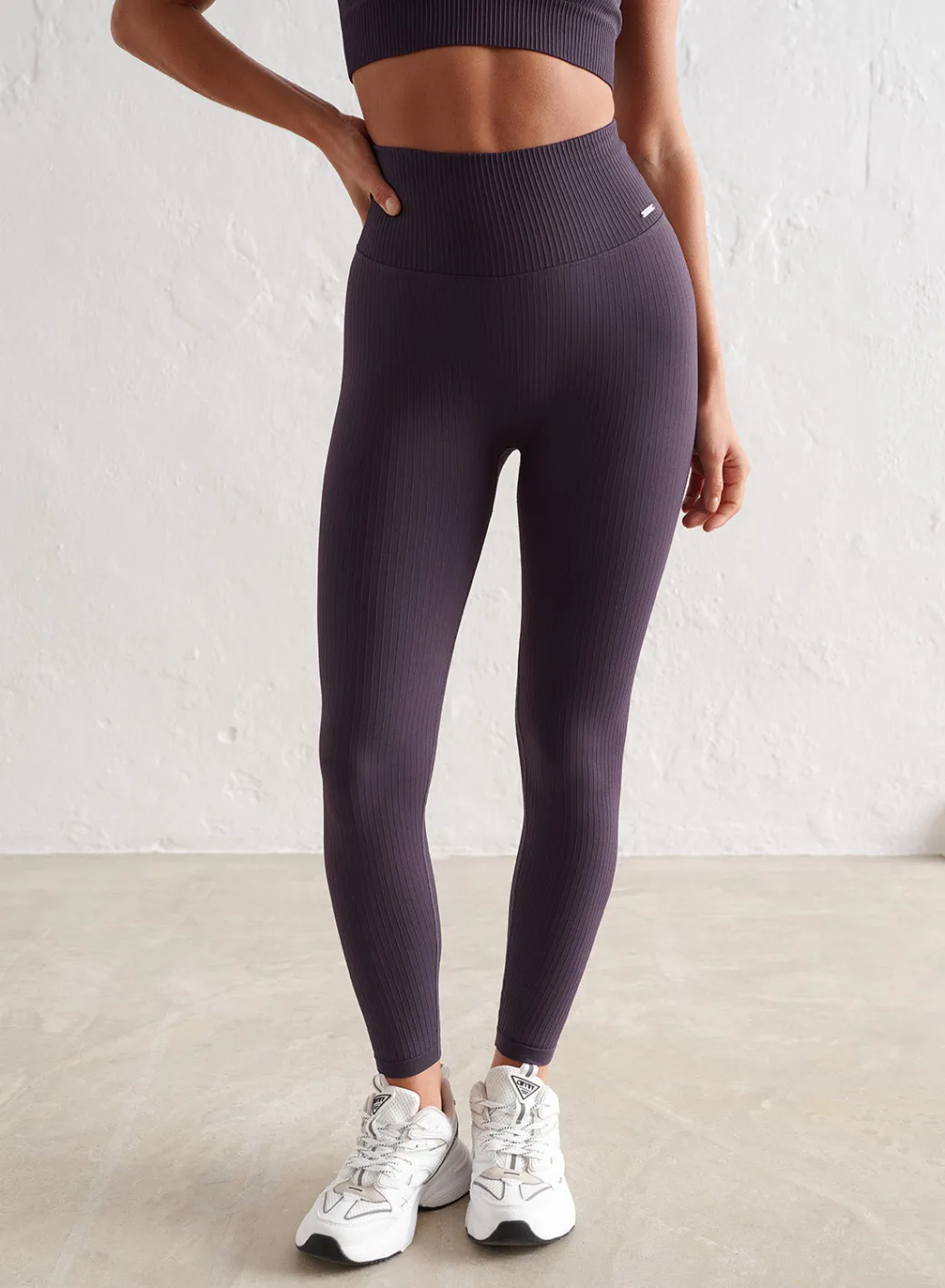 Ribbed Seamless Tights>AIM’N Discount