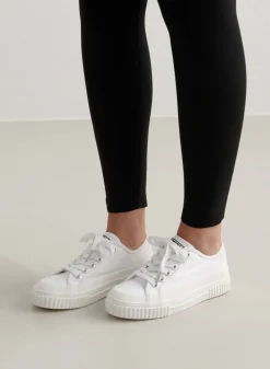 Cotton Canvas Sneakers>AIM’N Hot